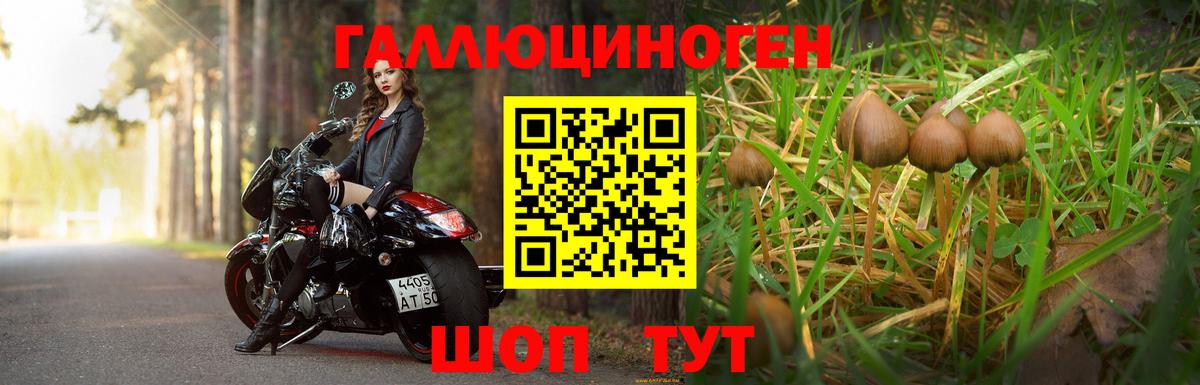 Волжск  Галлюциногенные грибы Psilocybine cubensis  Вход с VPN 